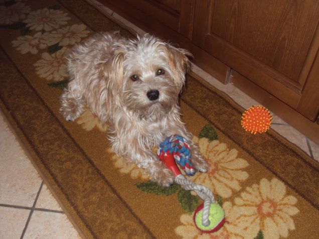 Mi piace giocare con i miei giochini!!!