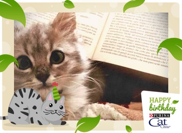 Coccole e lettura, un accoppiata vincente!