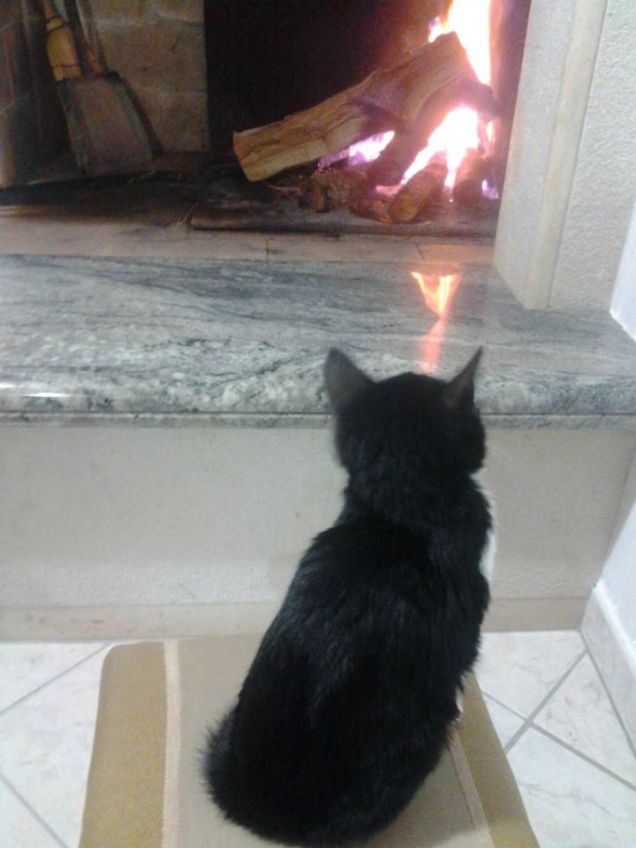 La scoperta del fuoco