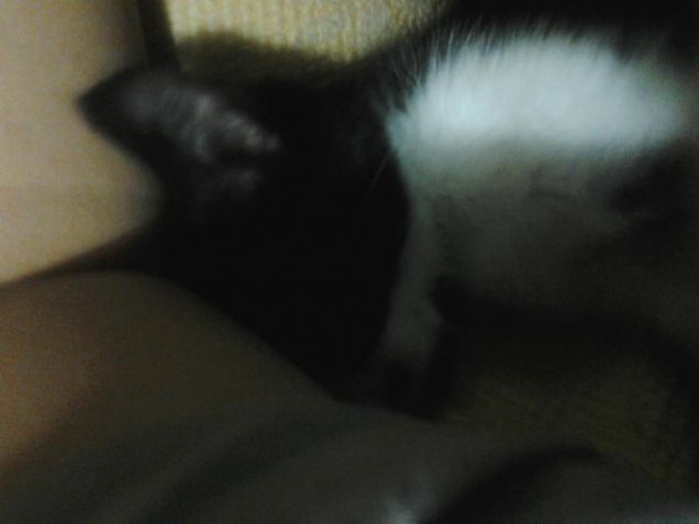 dormire fra mie braccia