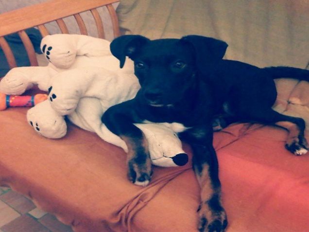 Trova le differenze...