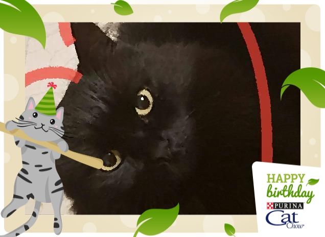 Compleanno con amore