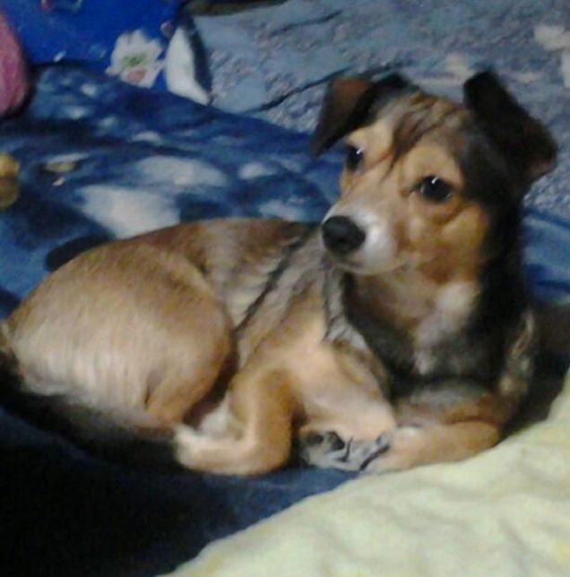 Semplicemente....Incanto!