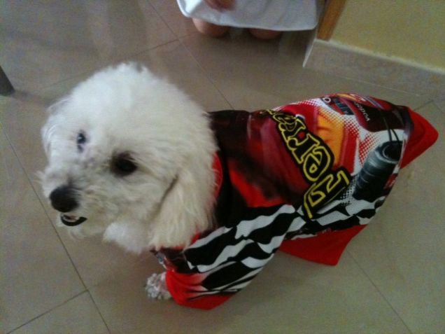 Cagnolina  Ferrarista