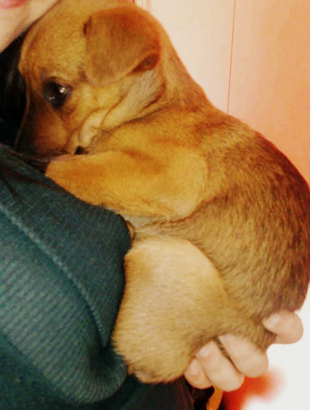 Ma quanto eri piccola?