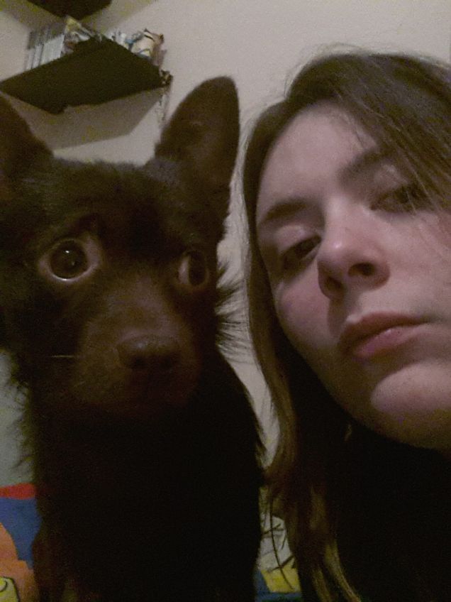 il mio rocky e il mio amore