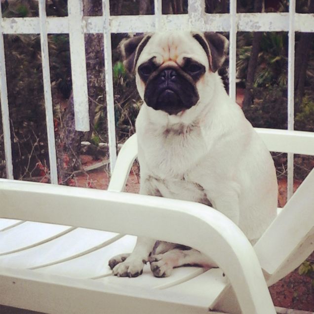 Mya si rilassa sulla sua sdraio