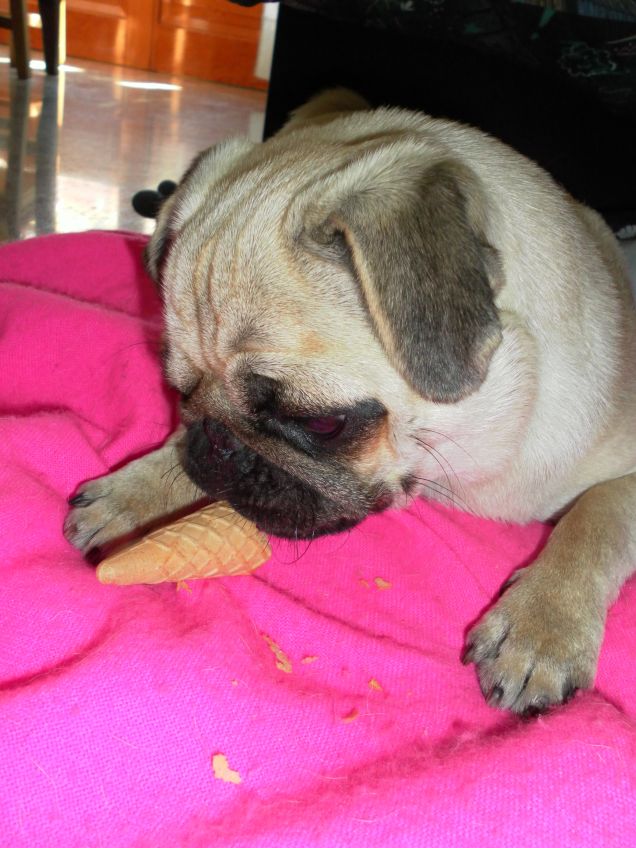 Mya che si gusta il suo cono