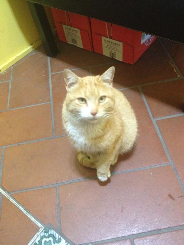 insieme ad arancione al lavoro