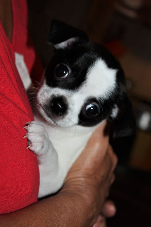 Spank... sorridiiiii!!!