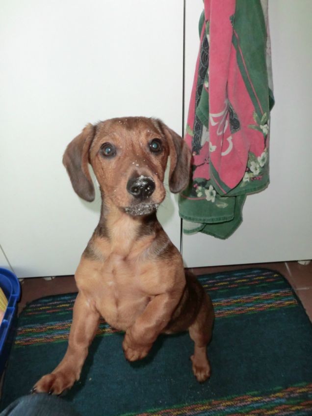 Nathalie col muso pieno di zucchero