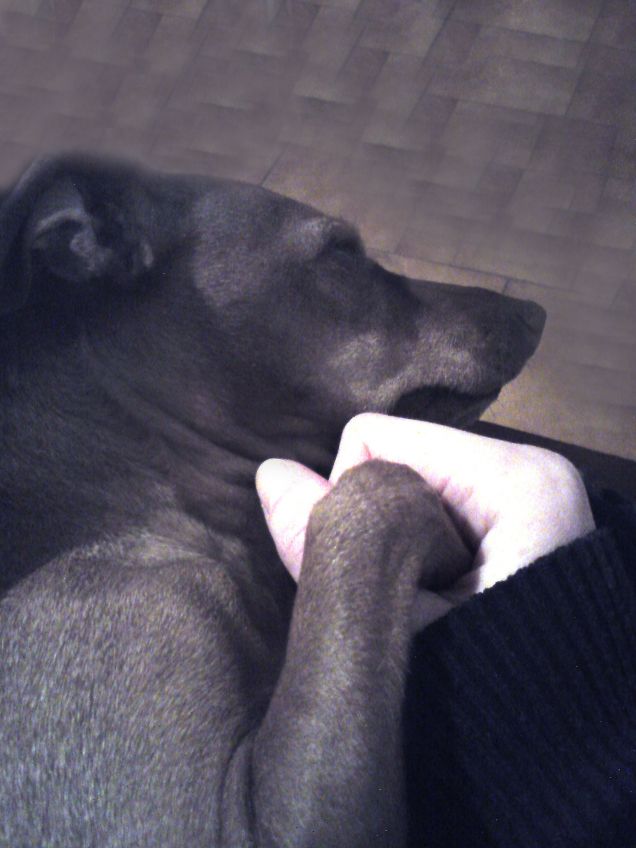 Se non ci fossi tu...