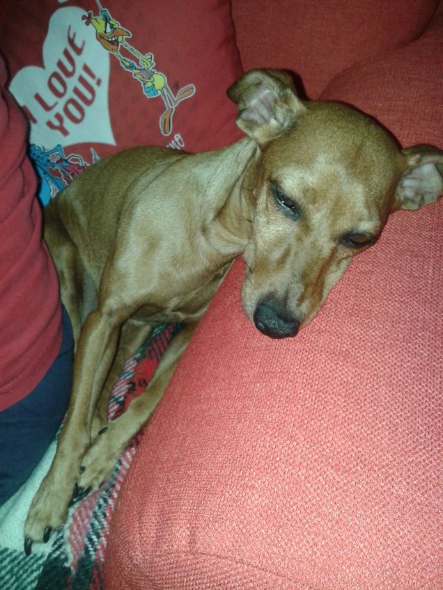 Nei cuscini si stà bene!