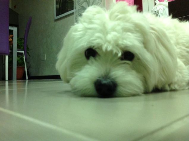 AMORE DI ZIAAAAAAAAAAAAAA