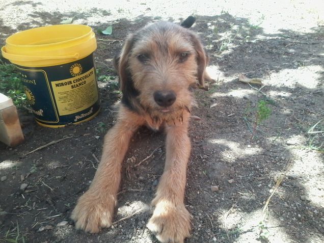 Il mio Coccoloneeeeeee 