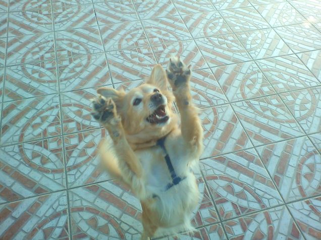 jenny e il suo bastoncino