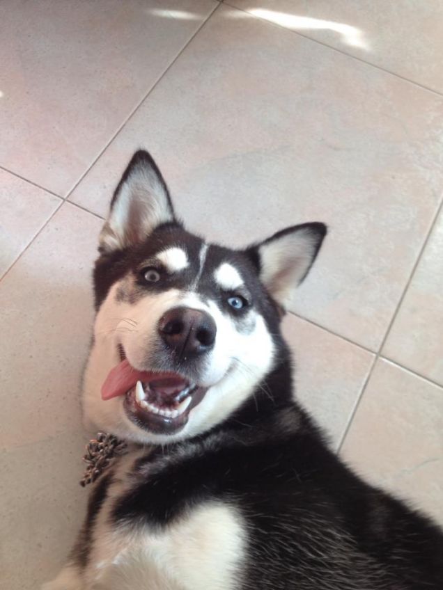 CHE CALDO.. HO LA LINGUA FUORI!