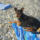 Tiziana