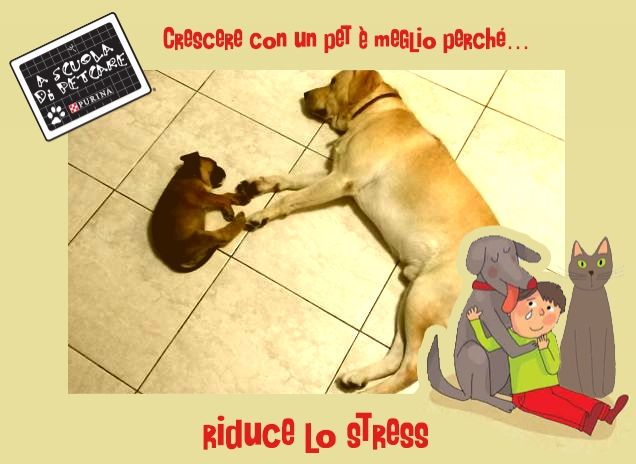 Piccolo&Grande