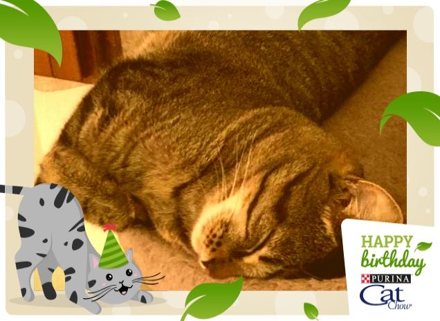 ...che stanchezza!!!