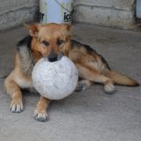 vito