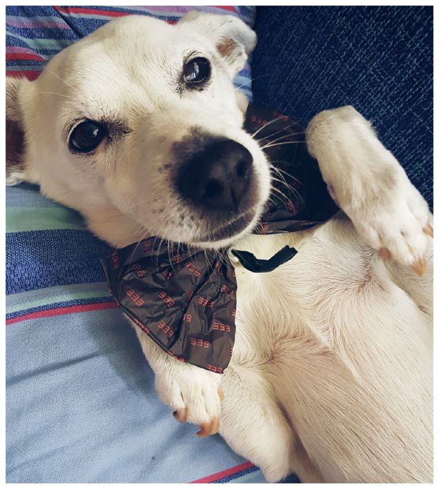 12 anni e non dimostrarli