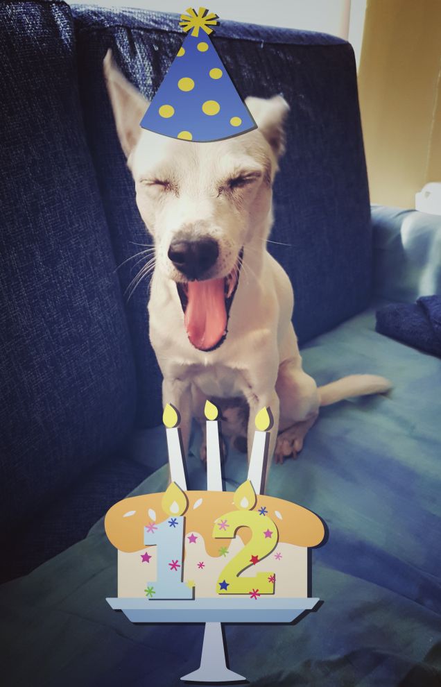Buon compleanno Amico mio 