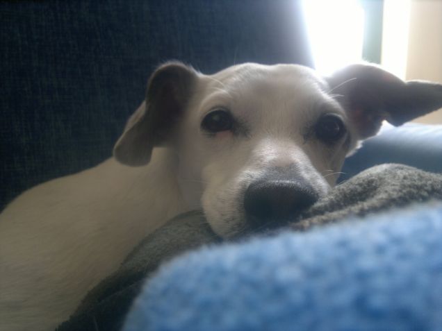 ti tengo d' occhio...