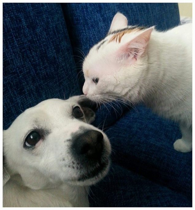 ti confido un segreto...