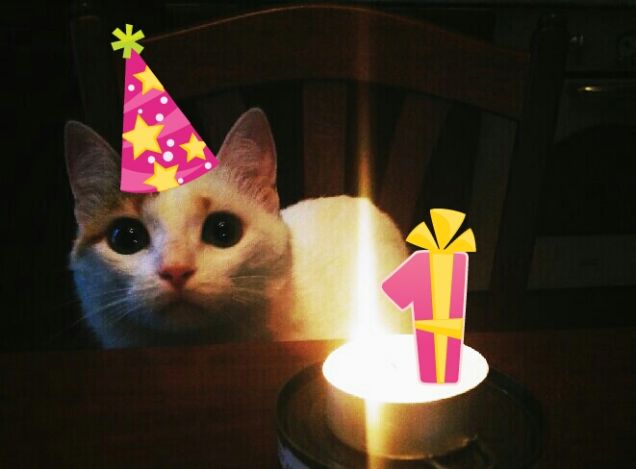 Buon 1° compleanno Mimì!!!