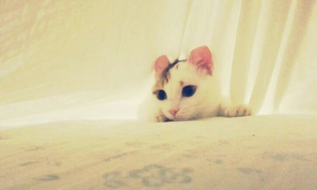 io mi nascondo...tu trovami