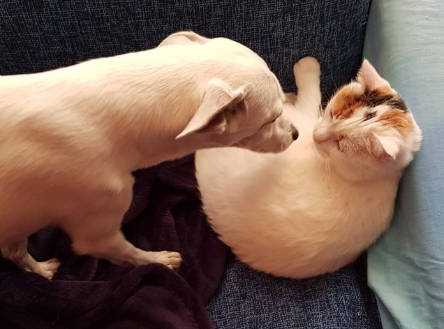 c'è sempre tempo per un bacino