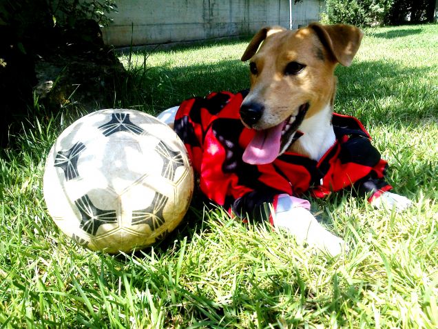 Jack: Uno dei LEONI della fossa!