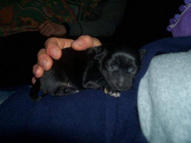 il mio cucciolotto!!!