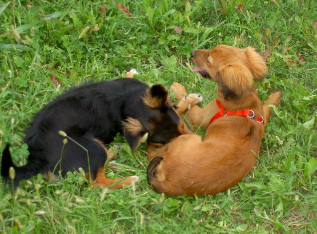 un momento di tregua