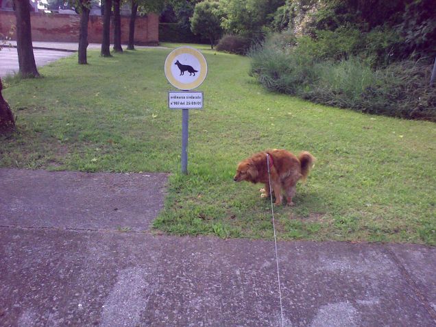 Quando scappa...scappa!