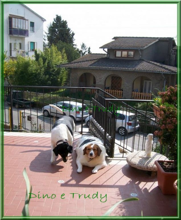 Dino e Trudy 