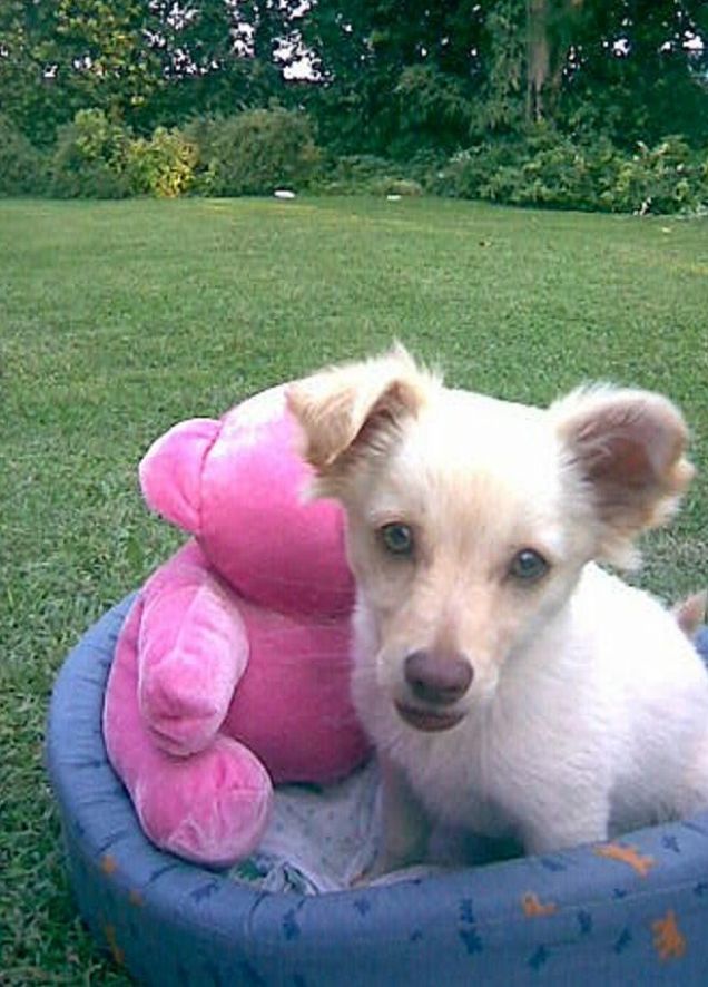 La mia Birba..in vacanze e relaxxx!!!