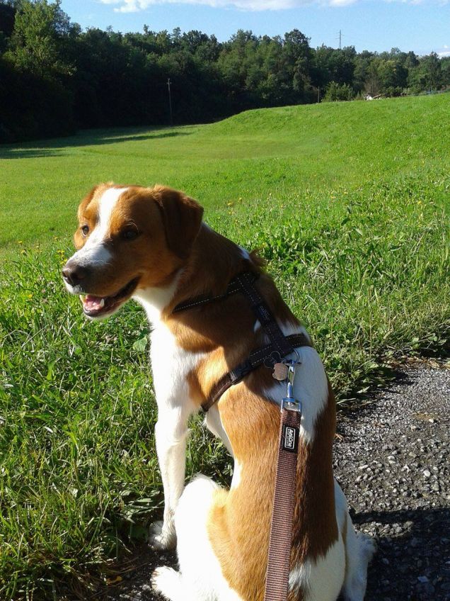 In posa per fare la foto