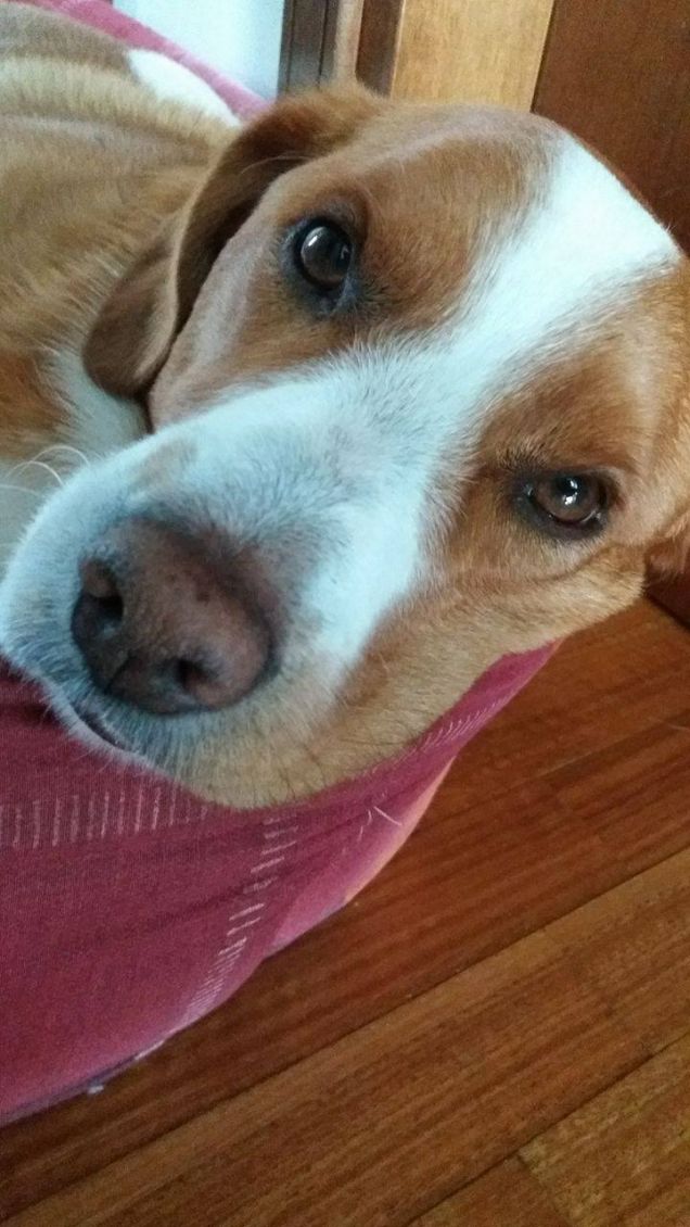 E' l'ora della nanna