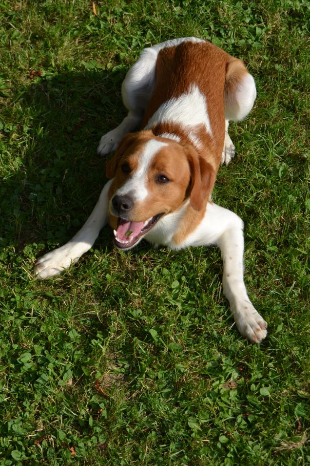 Trudy in giardino