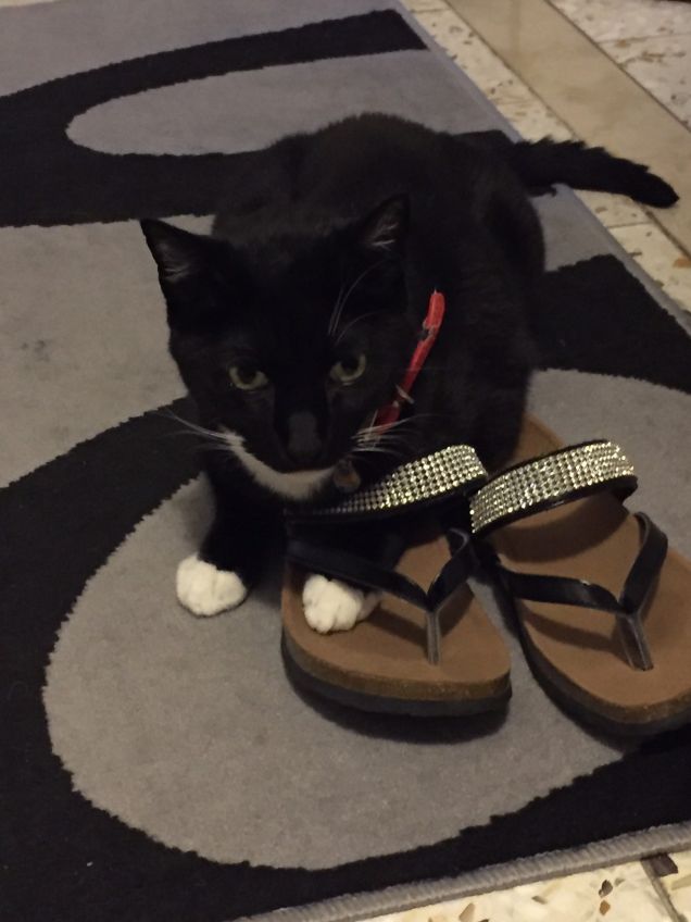 Ares mette le stesse mie scarpe :D