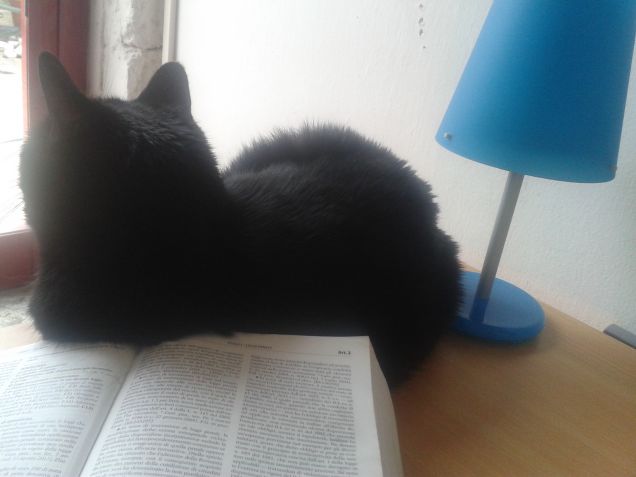 Studiando insieme...