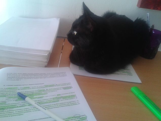 La mia cucciolina...