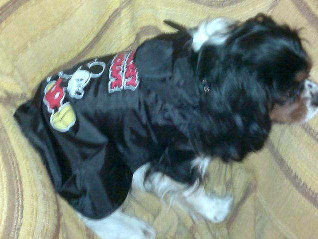 psiche e il suo k-way :)