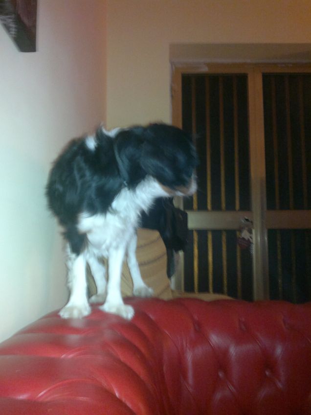 passeggiando qua e là..