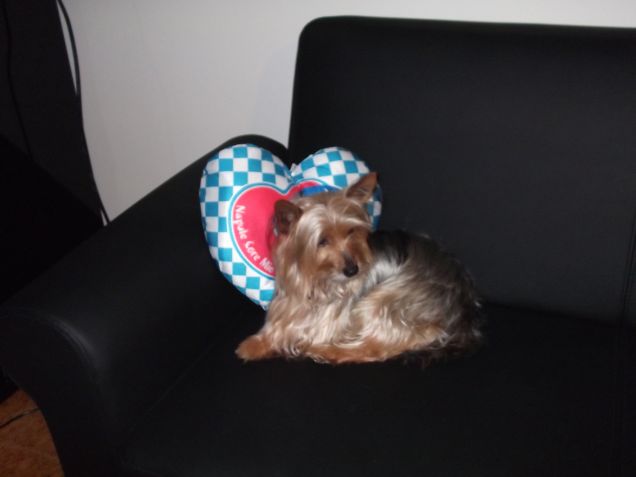 amo il mio cuscino del napoli