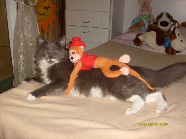 con la mia amica scimmietta