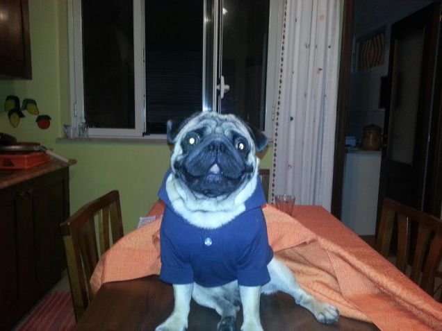 pronto per andare in vacanza estiva....