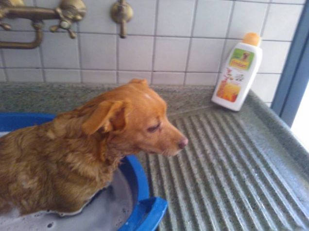 L'ora del bagnetto :D